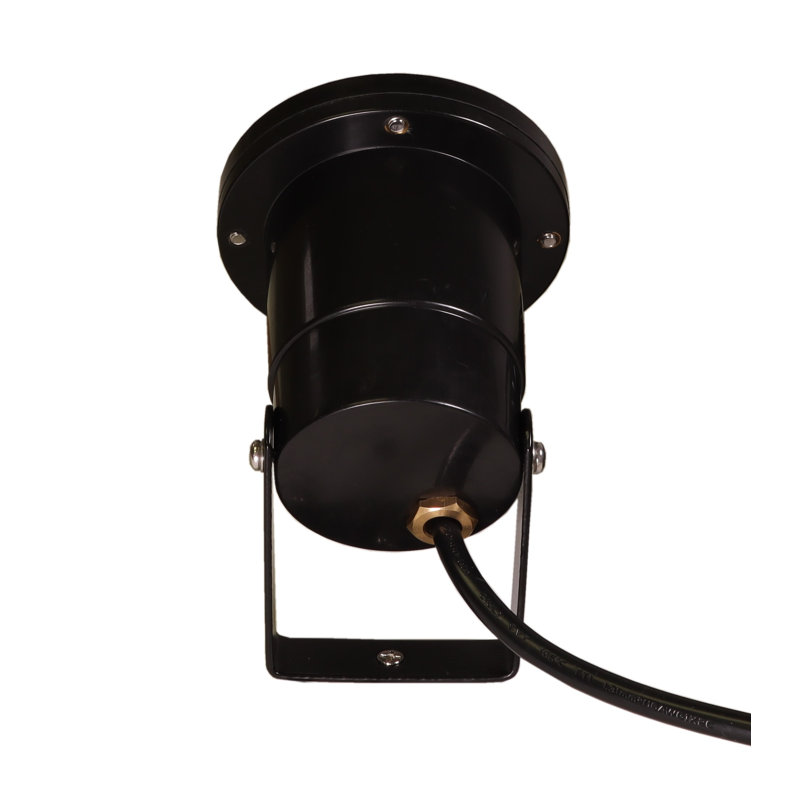 Best Pro Lighting Black Low Voltage Pond Light Wayfair